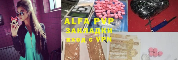 стафф Арсеньев