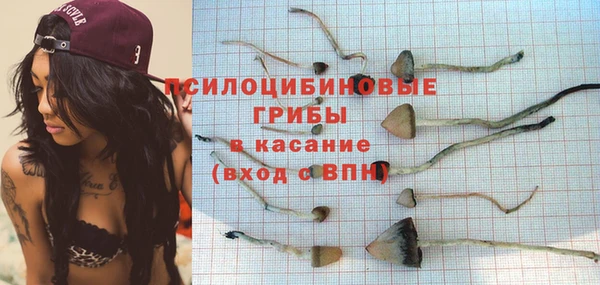 стафф Арсеньев