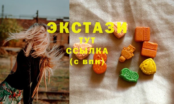 стафф Арсеньев